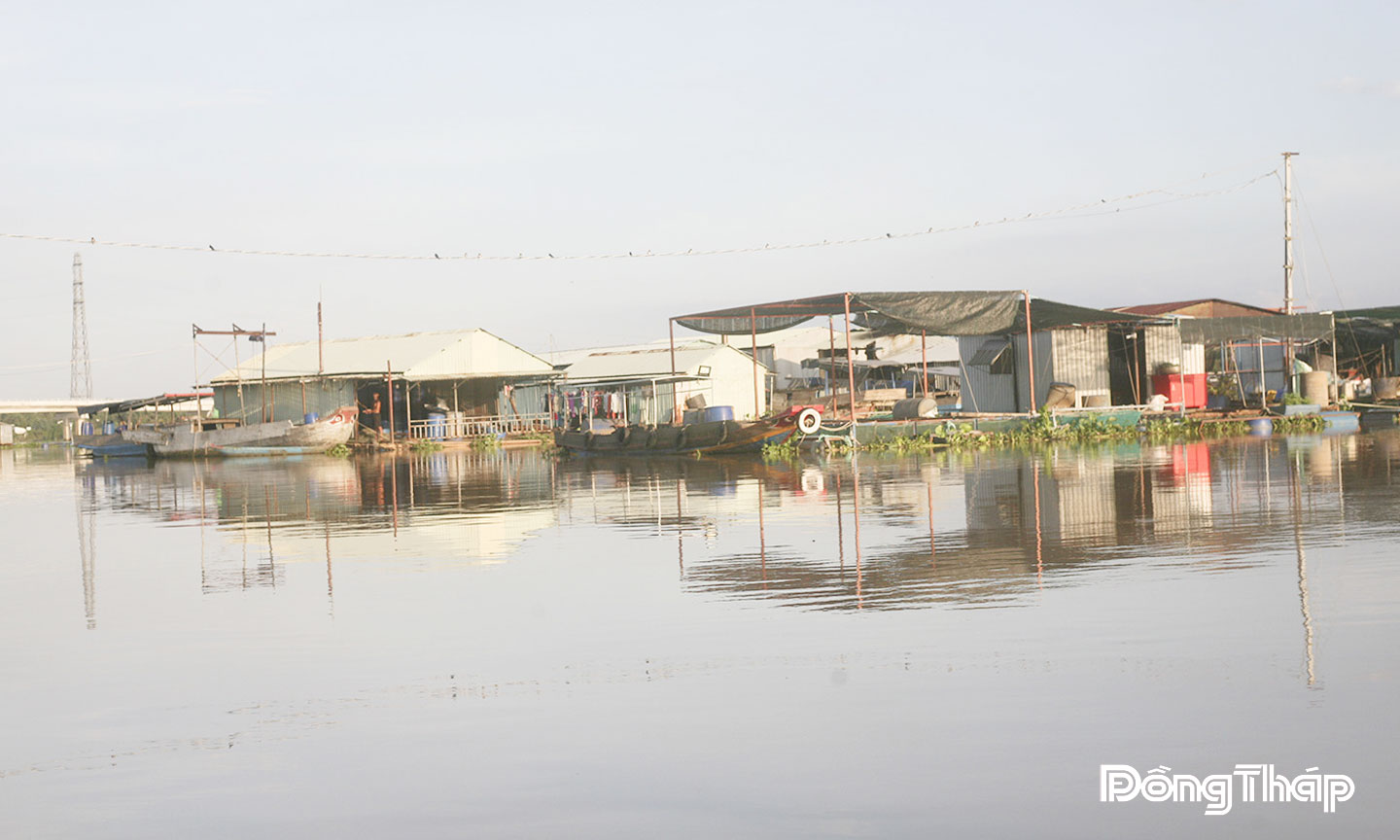 Phát huy lợi thế sông nước, nâng tầm nghề nuôi cá lồng bè Phát huy lợi thế sông nước, nâng tầm nghề nuôi cá lồng bè