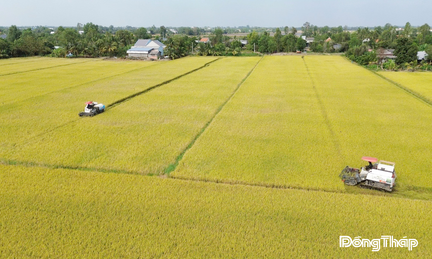 Bài 2: Chuyển dịch sản xuất nông nghiệp Bài 2: Chuyển dịch sản xuất nông nghiệp