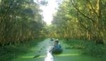 Vườn Quốc gia Tràm Chim được công nhận là khu Ramsar của thế giới