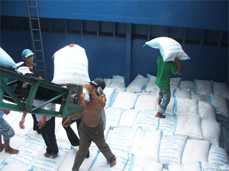 Số doanh nghiệp nợ đọng thuế trong ngành lương thực đang rất cao.