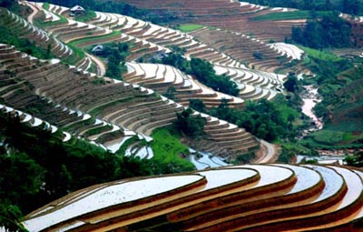 Ruộng ở xã Bản Phùng