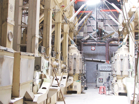 Hệ thống silo chứa gạo của Công ty TNHH Song Thuận (Châu Thành).