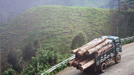 Bức ảnh chụp tại Đắk Glei - Kon Tum trong bộ ảnh 