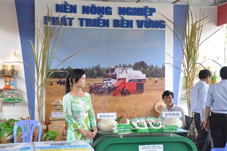 Dù có rất nhiều cơ chế, chính sách nhưng các mặt hàng nông sản chủ lực của ĐBSCL vẩn cứ loay hoay, bị tắc ở nhiều khâu. Ảnh: Vân Anh