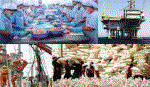 Kinh tế Việt Nam bước vào năm 2013 với nền tảng mạnh mẽ hơn