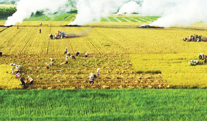 Ảnh Duy Bằng.