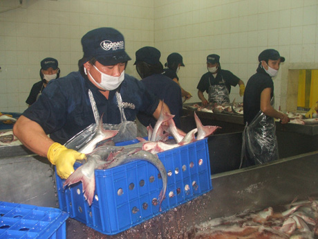 Công nhân GODACO chính thức làm việc trở lại vào ngày Mùng 6
