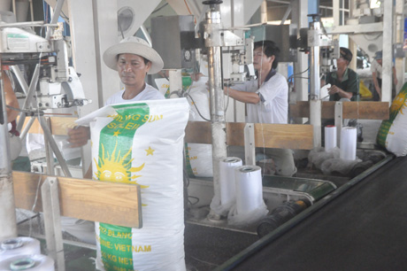 Kinh doanh lương thực dự báo sẽ khó khăn trong năm 2013