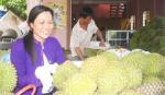Sầu riêng bình giá trở lại