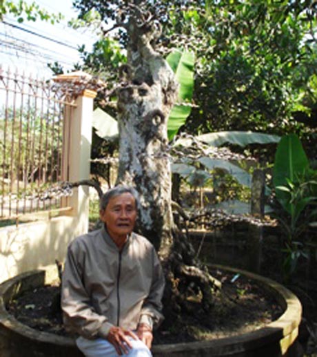 Cụ Lý  bên gốc khế.