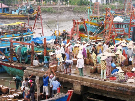 Chuyển thủy sản từ các tàu đánh bắt lên bờ ở Cảng cá Vàm Láng.