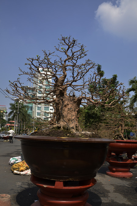 Ảnh: dantri.vn