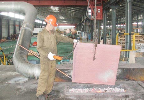Công ty TNHH Gia công Đồng Hải Lượng là một trong những dự án đầu tư phát huy được hiệu quả tại KCN Long Giang.