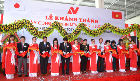 Lễ cắt băng khánh thành Nhà máy sơ chế sơ ri.