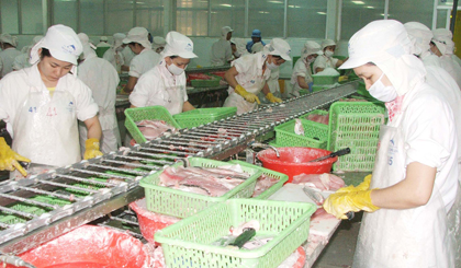 Nhiều DN trong ngành thủy sản vẫn còn khó khăn.