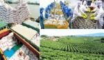 Tập trung thúc đẩy sản xuất và tháo gỡ khó khăn cho doanh nghiệp