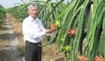 Ông Cao Xuân Nguyên: Làm theo Bác đem lại cuộc sống ấm no