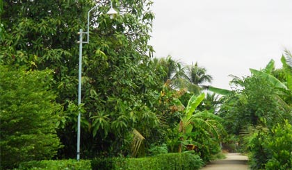 Qua vận động của chính quyền xã, người dân ấp 2, xã Thạnh Lộc đã đóng góp kinh phí thắp sáng tuyến đường Nam Nguyễn Văn Tiếp.