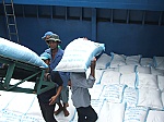 Ông Lâm Anh Tuấn: Tiêu thụ lúa gạo vụ đông xuân sẽ khó khăn