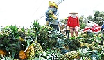 Ngành Nông nghiệp tỉnh hướng đến sản xuất bền vững
