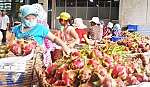 Xuất khẩu trái cây: Những khó khăn và hướng tháo gỡ