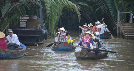 Tham quan vòng quanh bằng đò chèo
