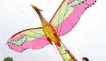 Vietnam art kite festival held with flying colours