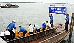 Thả 370.000 con tôm, cá giống khôi phục nguồn lợi thủy sản