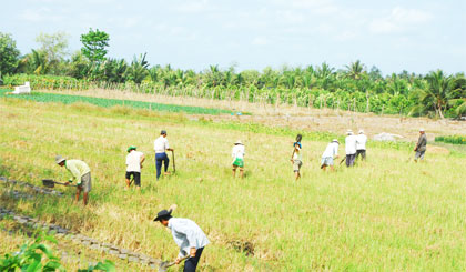Một bộ phận nông dân nghèo, lớn tuổi đang làm thuê.