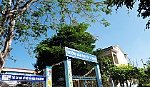 Phóng sự: Đất giồng khởi sắc