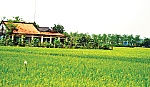 Đảng bộ xã Bình Phú: Đoàn kết là chìa khóa thành công