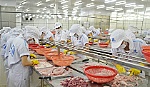 Phát triển công nghiệp đồng hành với tiến trình hội nhập kinh tế