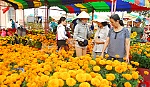 Từ làng hoa… đến chợ tết