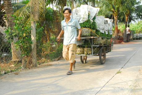 Vận chuyển hoa ra xe tải.