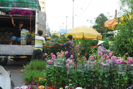 Chuyển hoa từ xe xuống chợ hoa để bán.