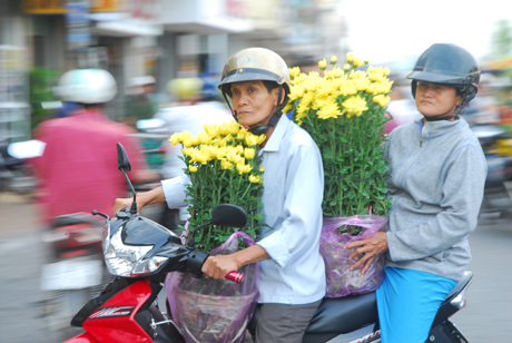 Người dân mua hoa về chưng tết.