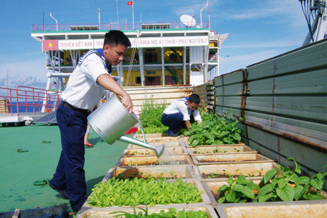 Cán bộ, chiến sĩ nhà giàn chăm sóc vườn rau.  