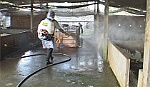 Huyện Chợ Gạo: Người chăn nuôi nói không với chất cấm