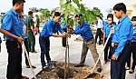 Lễ phát động và ra quân Chiến dịch 