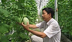 TS. Lê Quang Khôi: Góp sức xây dựng quê hương giàu đẹp