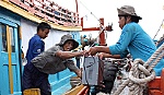 Những trăn trở và khát vọng vươn khơi