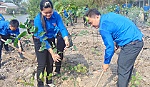 Dấu ấn sức trẻ ở huyện Cai Lậy
