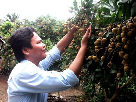 An toàn, chất lượng là vấn đề nan giải của nông sản hiện nay.