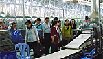 Công đoàn chung sức bảo vệ môi trường