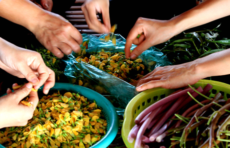 Giờ đây, bông điên điển, bông súng, rau muống đồng không còn nhiều như xưa.