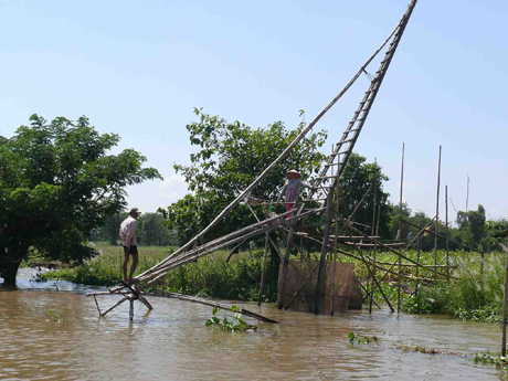 Người dân đặt vó tại xã Vĩnh Hội Đông, huyện An Phú, tỉnh An Giang.