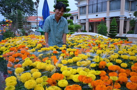 ...cũng như Cúc, Vạn Thọ...