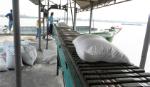 Doanh nghiệp tồn kho gần 1 triệu tấn gạo