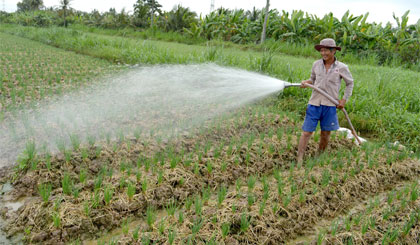 Xã Tân Lý Tây (huyện Châu Thành) đang phấn đấu đạt chuẩn NTM trong năm 2017.