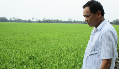 Ông Thái Văn Hiềm tích cực thăm đồng trong những ngày đón tết.